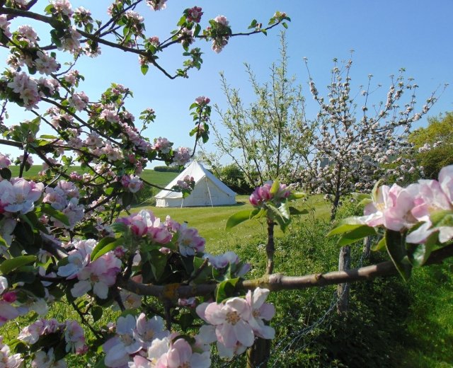 Glamping holidays in Gloucestershire, South West England - Cotswold Glamping